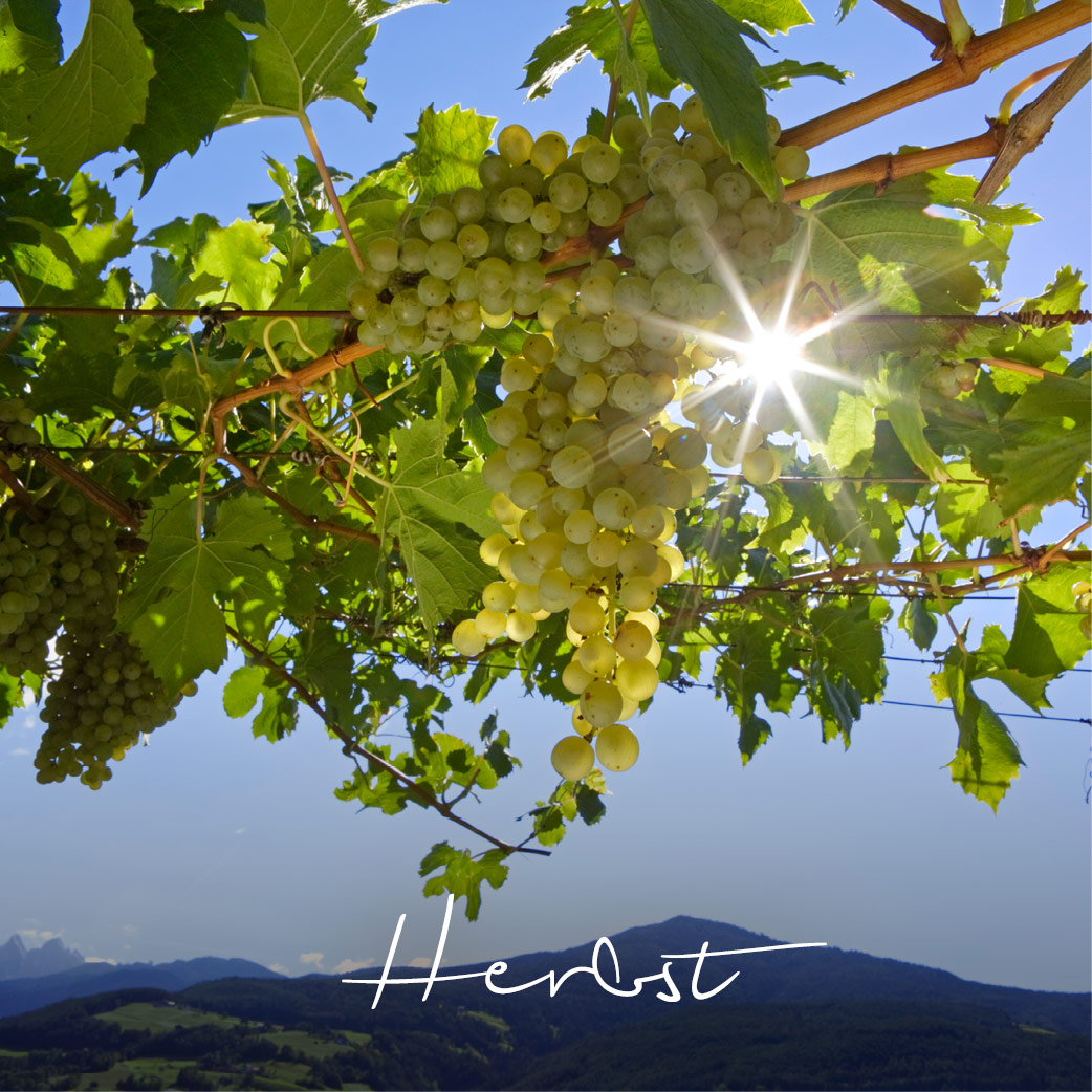 Herbst in Südtirol - Laitacherhof in Klausen