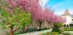 Frühling im Eisacktal in Südtirol