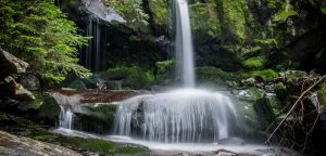 Frühling im Eisacktal in Südtirol