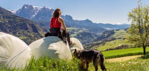 Wandern auf der Villanderer Alm im Sommer in Südtirol