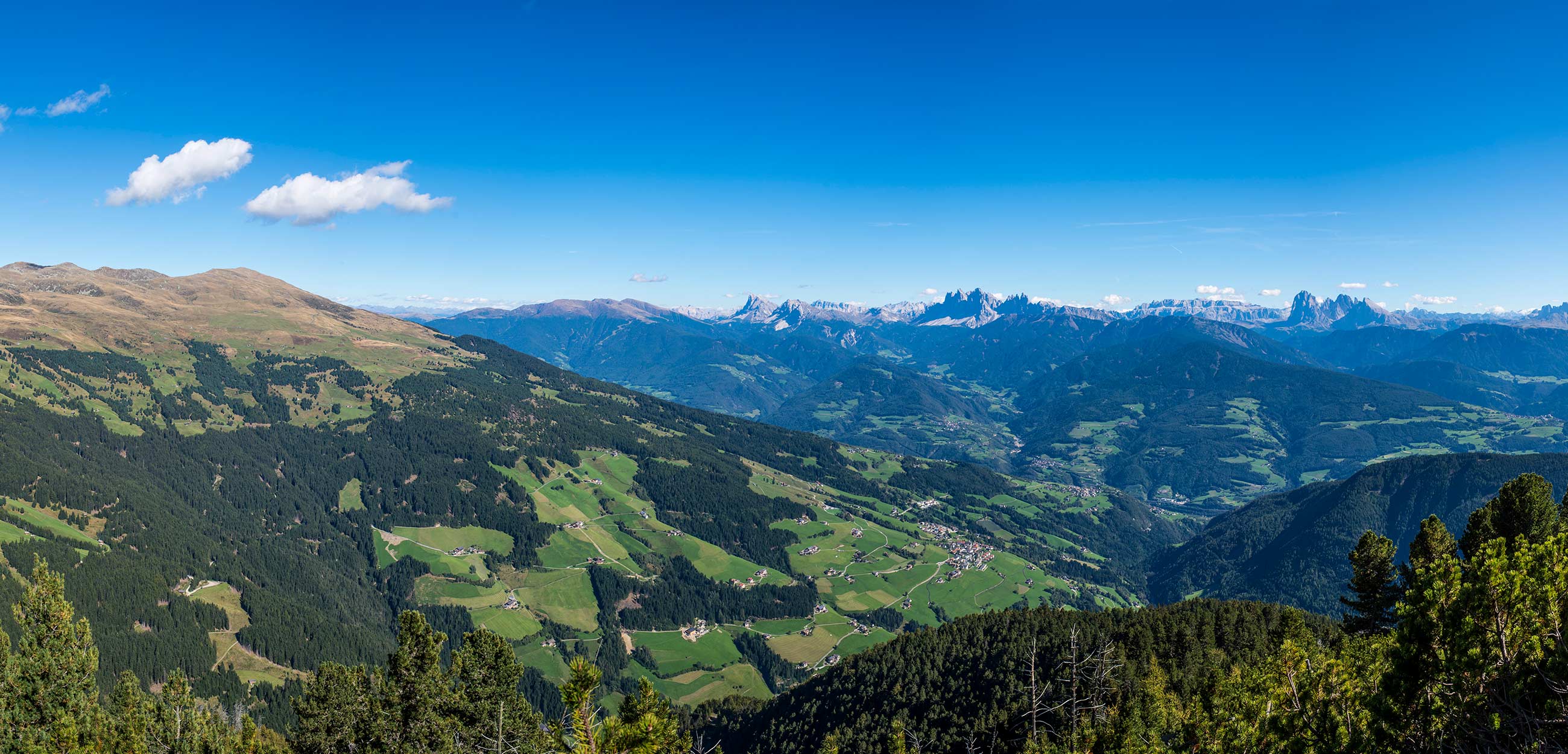 Laitacherhof im Sommer